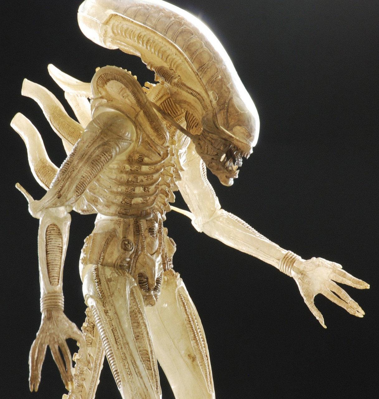 Фигурка NECA ALIEN AvP (Alien vs. Predator. Чужой против Хищника). Xenomorph Neca (998678384)
Фигурка NECA ALIEN AvP (Alien vs. Predator. Чужой против Хищника). Xenomorph Neca (998678384)