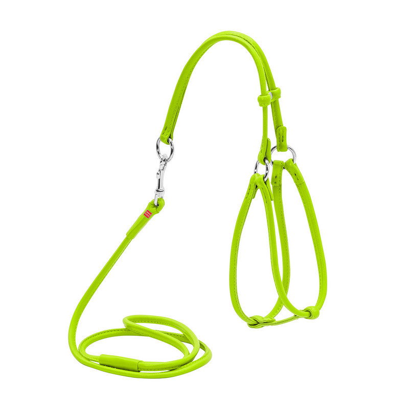 Шлея круглая WAUDOG Glamour кожа салатовый с поводком для кошек и мелких собак 34025 (4820152565426)
Шлея круглая WAUDOG Glamour кожа салатовый с поводком для кошек и мелких собак 34025 (4820152565426)