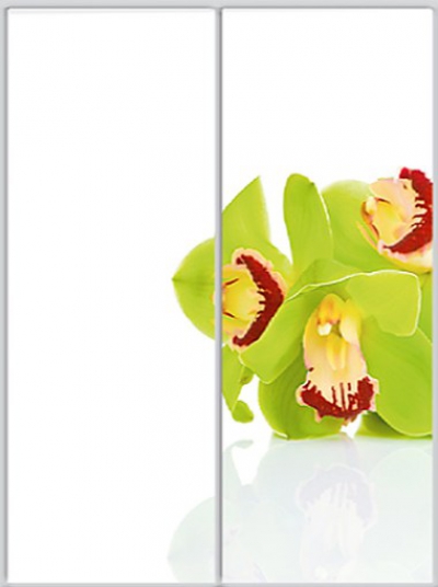 Шкаф купе Luxe Studio Стандарт-1 Фотопечать Природа-3 1300x2000x600 двухдверный
Шкаф купе Luxe Studio Стандарт-1 Фотопечать Природа-3 1300x2000x600 двухдверный