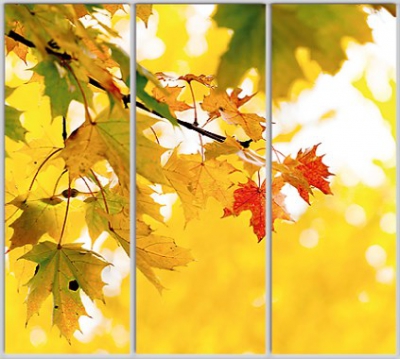 Шкаф купе Luxe Studio Стандарт-1 Фотопечать Природа-201 2100x2100x450 трехдверный
Шкаф купе Luxe Studio Стандарт-1 Фотопечать Природа-201 2100x2100x450 трехдверный
