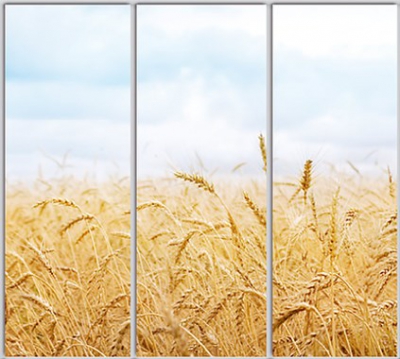 Шкаф купе Luxe Studio Стандарт-1 Фотопечать Природа-75 2100x2200x450 трехдверный
Шкаф купе Luxe Studio Стандарт-1 Фотопечать Природа-75 2100x2200x450 трехдверный