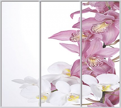 Шкаф купе Luxe Studio Стандарт-1 Фотопечать Природа-186 2300x2300x450 трехдверный
Шкаф купе Luxe Studio Стандарт-1 Фотопечать Природа-186 2300x2300x450 трехдверный