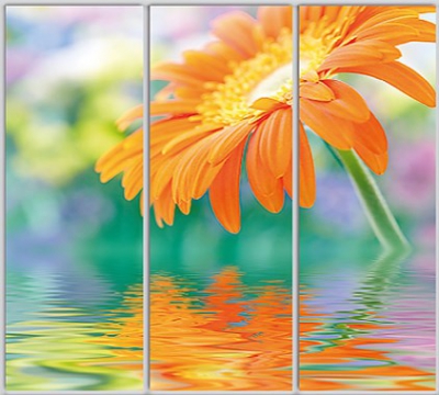 Шкаф купе Luxe Studio Стандарт-1 Фотопечать Природа-196 2300x2300x450 трехдверный 
Шкаф купе Luxe Studio Стандарт-1 Фотопечать Природа-196 2300x2300x450 трехдверный