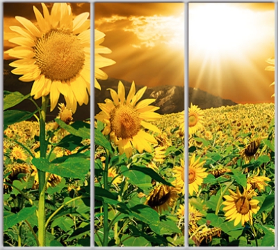 Шкаф купе Luxe Studio Стандарт-1 Фотопечать Природа-11 2400x2300x450 трехдверный
Шкаф купе Luxe Studio Стандарт-1 Фотопечать Природа-11 2400x2300x450 трехдверный