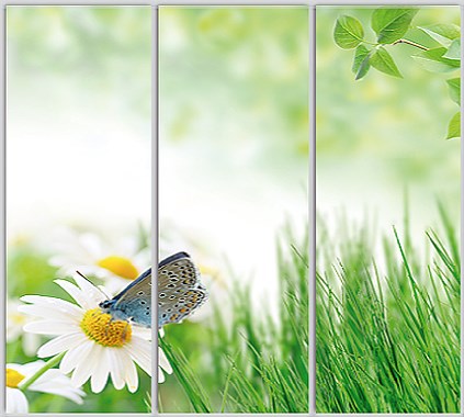 Шкаф купе Luxe Studio Стандарт-1 Фотопечать Природа-223 2400x2000x450 трехдверный
Шкаф купе Luxe Studio Стандарт-1 Фотопечать Природа-223 2400x2000x450 трехдверный