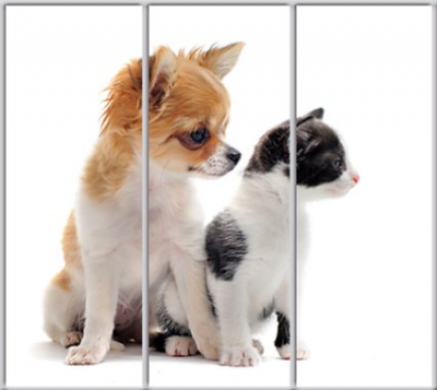 Шкаф купе Luxe Studio Стандарт-1 Фотопечать Животные-62 2200x2000x600 трехдверный
Шкаф купе Luxe Studio Стандарт-1 Фотопечать Животные-62 2200x2000x600 трехдверный