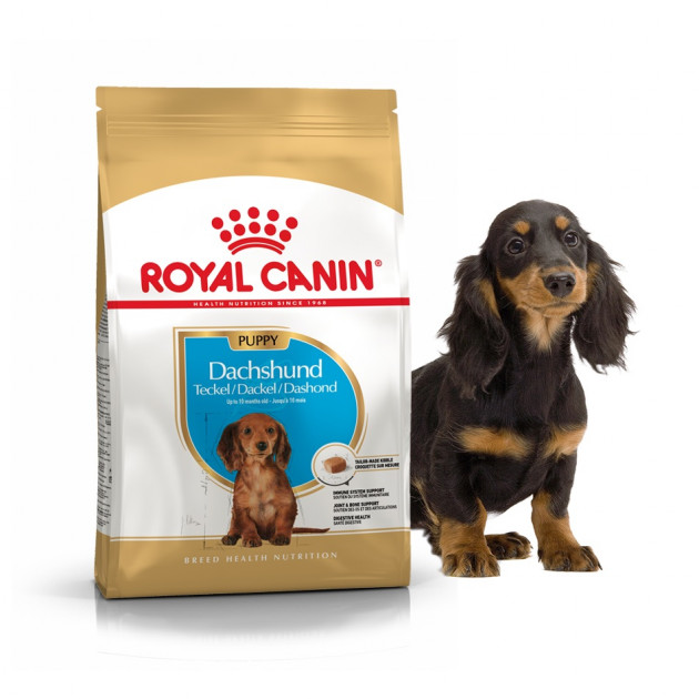 Сухой корм для собак породы такса Royal Canin DACHSHUND PUPPY для щенков до 10 мес. (1,5 кг)
Сухой корм для собак породы такса Royal Canin DACHSHUND PUPPY для щенков до 10 мес. (1,5 кг)