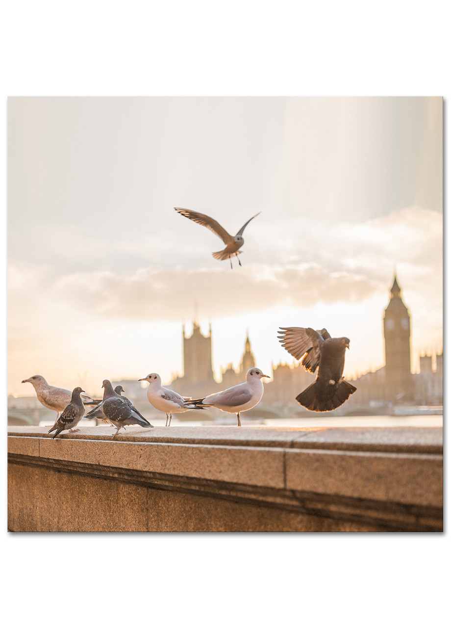 Фотокартина на холсте Птицы Лондона, 90*90 см
Фотокартина на холсте Птицы Лондона, 90*90 см