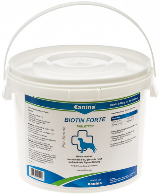 Интенсивный курс для шерсти Canina Biotin Forte 2000 г 600 таблеток (4027565101122)
Интенсивный курс для шерсти Canina Biotin Forte 2000 г 600 таблеток (4027565101122)