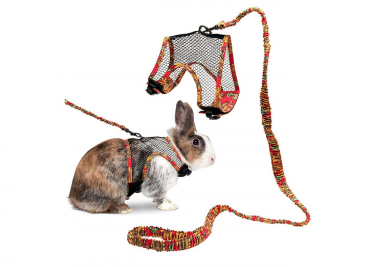 Шлея с поводком для кролика Flamingo Rabbit Harness With Art Joy Leash Flamingo (1031337)
Шлея с поводком для кролика Flamingo Rabbit Harness With Art Joy Leash Flamingo (1031337)