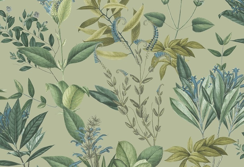 Виниловые обои на флизилиновой основе Decoprint Blooming BL22741 зеленый растительный (природа)
Виниловые обои на флизилиновой основе Decoprint Blooming BL22741 зеленый растительный (природа)