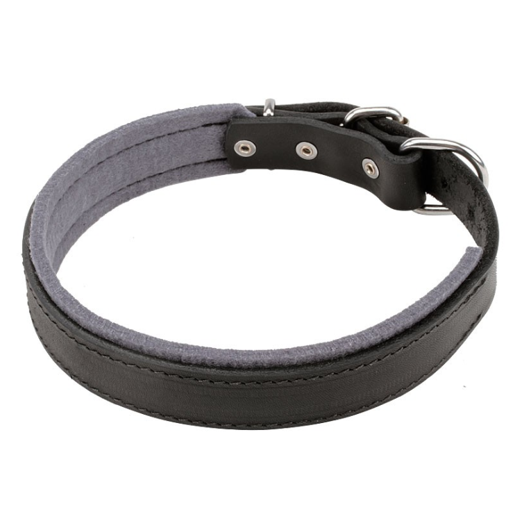 Ошейник с войлочной подкладкой ld092 Lockdog XL (56-70 см) (zoo0000411) Черный
Ошейник с войлочной подкладкой ld092 Lockdog XL (56-70 см) (zoo0000411) Черный