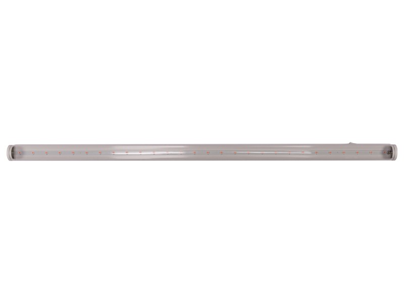 Светодиодный Фитосветильник Luxel 595х28х35мм 220-240V 8W IP20 (FLX-3005-0,6 8W)
Светодиодный Фитосветильник Luxel 595х28х35мм 220-240V 8W IP20 (FLX-3005-0,6 8W)