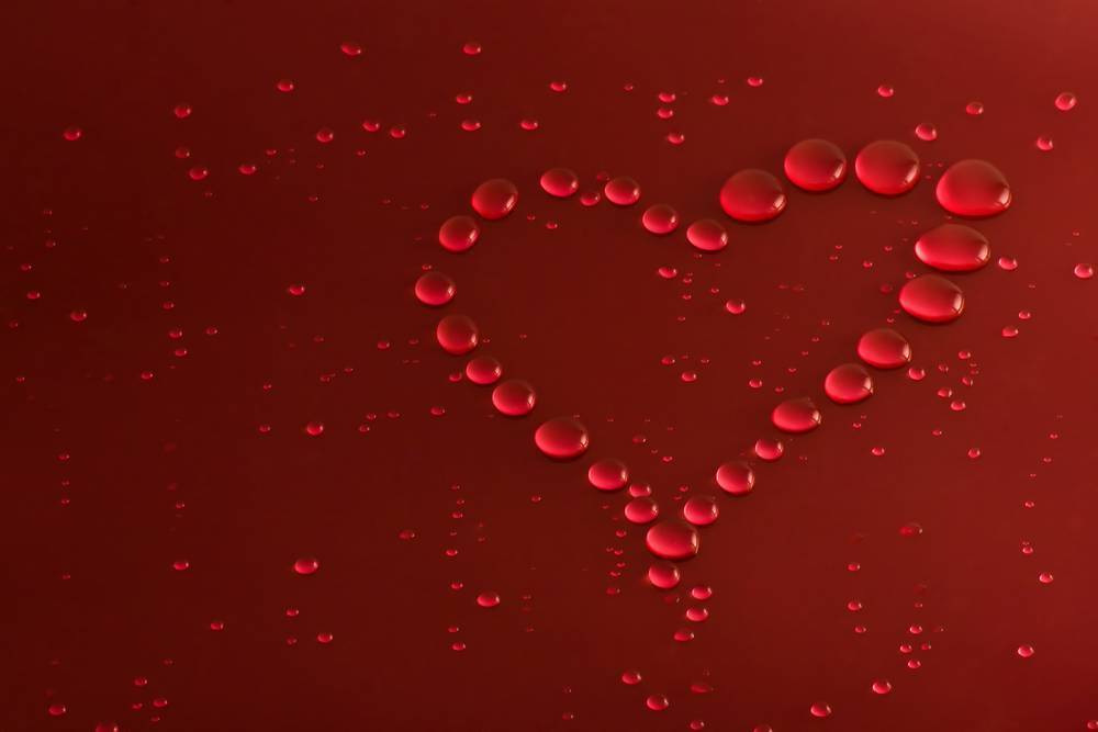 Картина на холсте LaPrint Праздник 120х80 см
Картина на холсте LaPrint Праздник 120х80 см