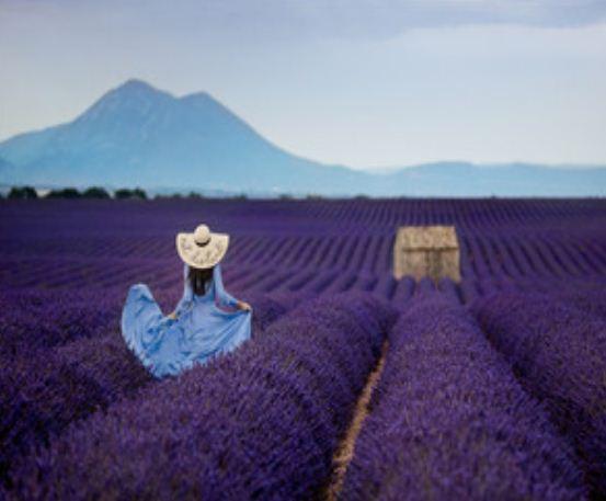 Картина по номерам JO RSB8206 40*50 см Лавандовое поле
Картина по номерам JO RSB8206 40*50 см Лавандовое поле