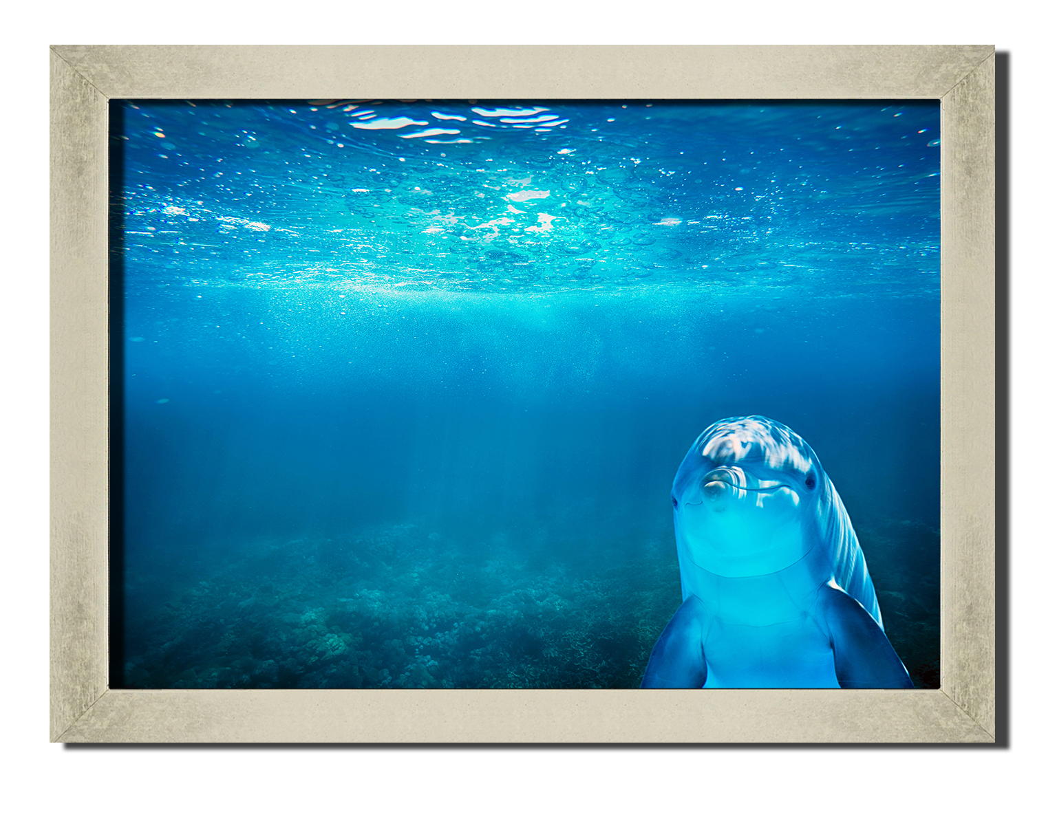 Silver frame картина на файн-арт бумаге дельфин природа пейзаж море Hotel Arizona HD 31 см x 41 см
Silver frame картина на файн-арт бумаге дельфин природа пейзаж море Hotel Arizona HD 31 см x 41 см