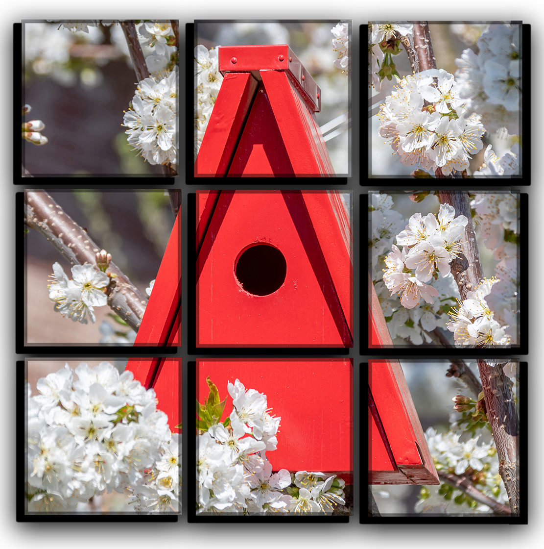 Модульная картина на холсте 9 частей Новый птичий дом животный мир, птицы Hotel Arizona HD 77 см x 77 см 
Модульная картина на холсте 9 частей Новый птичий дом животный мир, птицы Hotel Arizona HD 77 см x 77 см