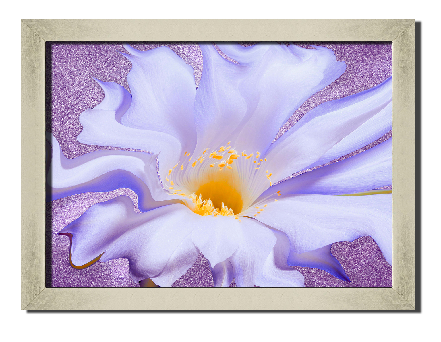 Silver frame картина на файн-арт бумаге Цветы любовь роматника свиданье Hotel Arizona HD 31 см x 41 см
Silver frame картина на файн-арт бумаге Цветы любовь роматника свиданье Hotel Arizona HD 31 см x 41 см