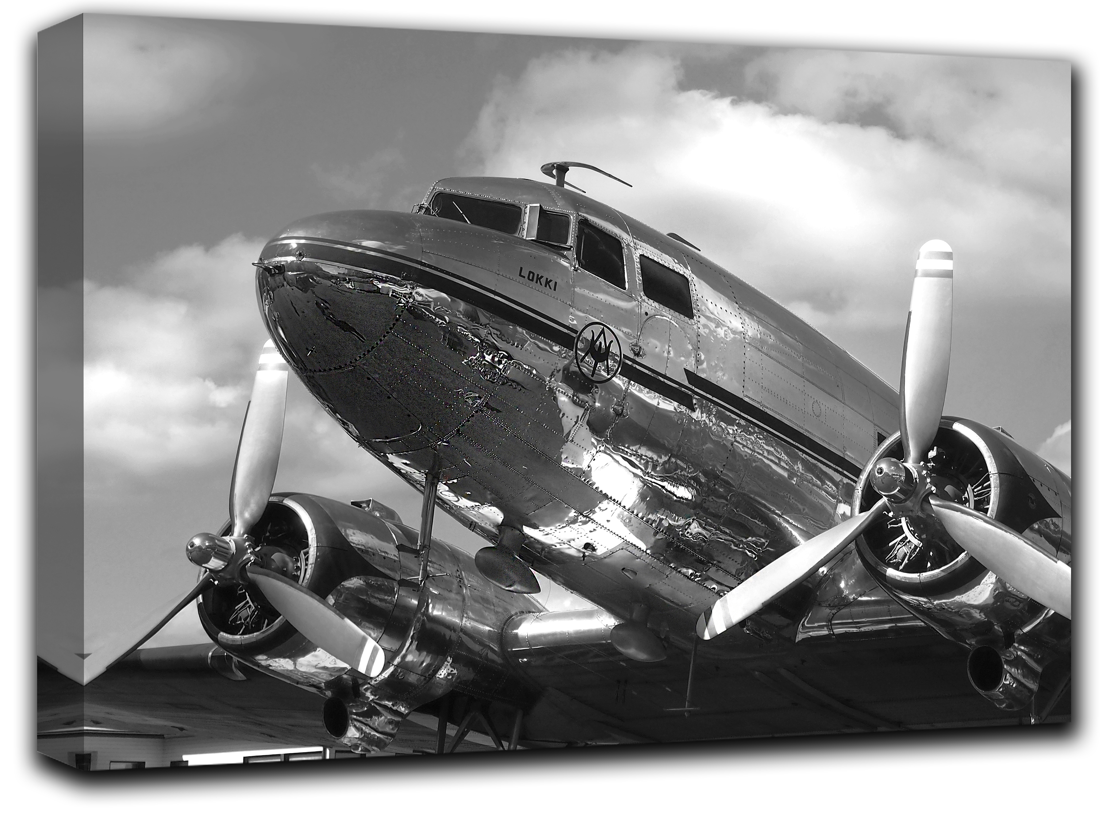 картина на холсте винтажный самолет DC-3 пропеллер авиадвигатели Hotel Arizona HD 69 см x 102 см
картина на холсте винтажный самолет DC-3 пропеллер авиадвигатели Hotel Arizona HD 69 см x 102 см