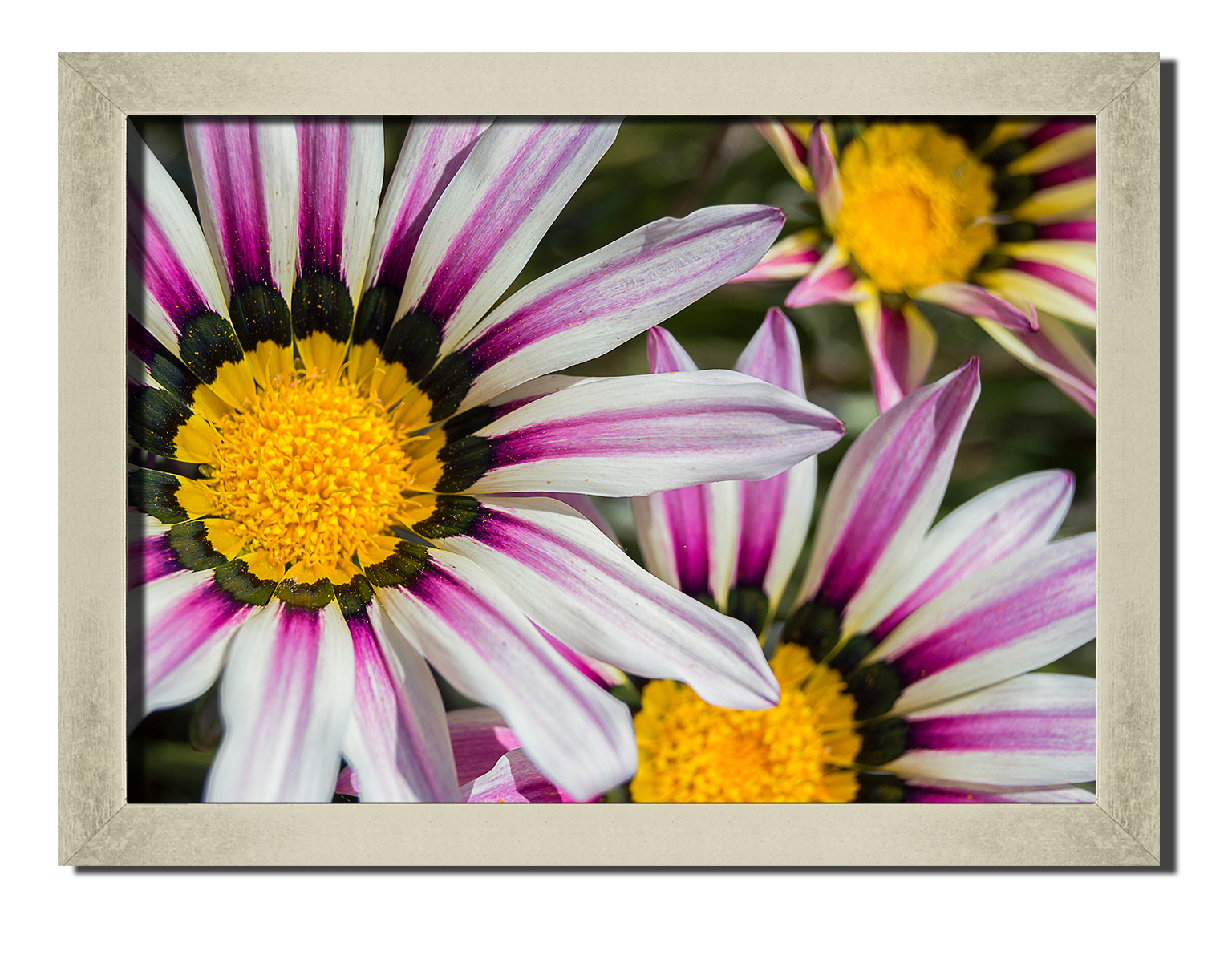 Silver frame картина на файн-арт бумаге Красочные лепестки любовь цветы роматника свиданье Hotel Arizona HD 31 см x 41 см
Silver frame картина на файн-арт бумаге Красочные лепестки любовь цветы роматника свиданье Hotel Arizona HD 31 см x 41 см