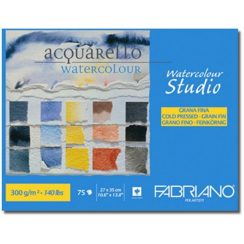 Альбом-склейка для акварели A4 Fabriano Watercolor Studio 27х35см 300г/м2 среднее зерно 75л (8001348163046)
Альбом-склейка для акварели A4 Fabriano Watercolor Studio 27х35см 300г/м2 среднее зерно 75л (8001348163046)