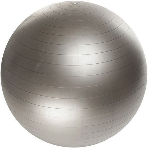 Фитбол мяч для фитнеса 55 см Profi Ball MS 1539 Silver 
Фитбол мяч для фитнеса 55 см Profi Ball MS 1539 Silver