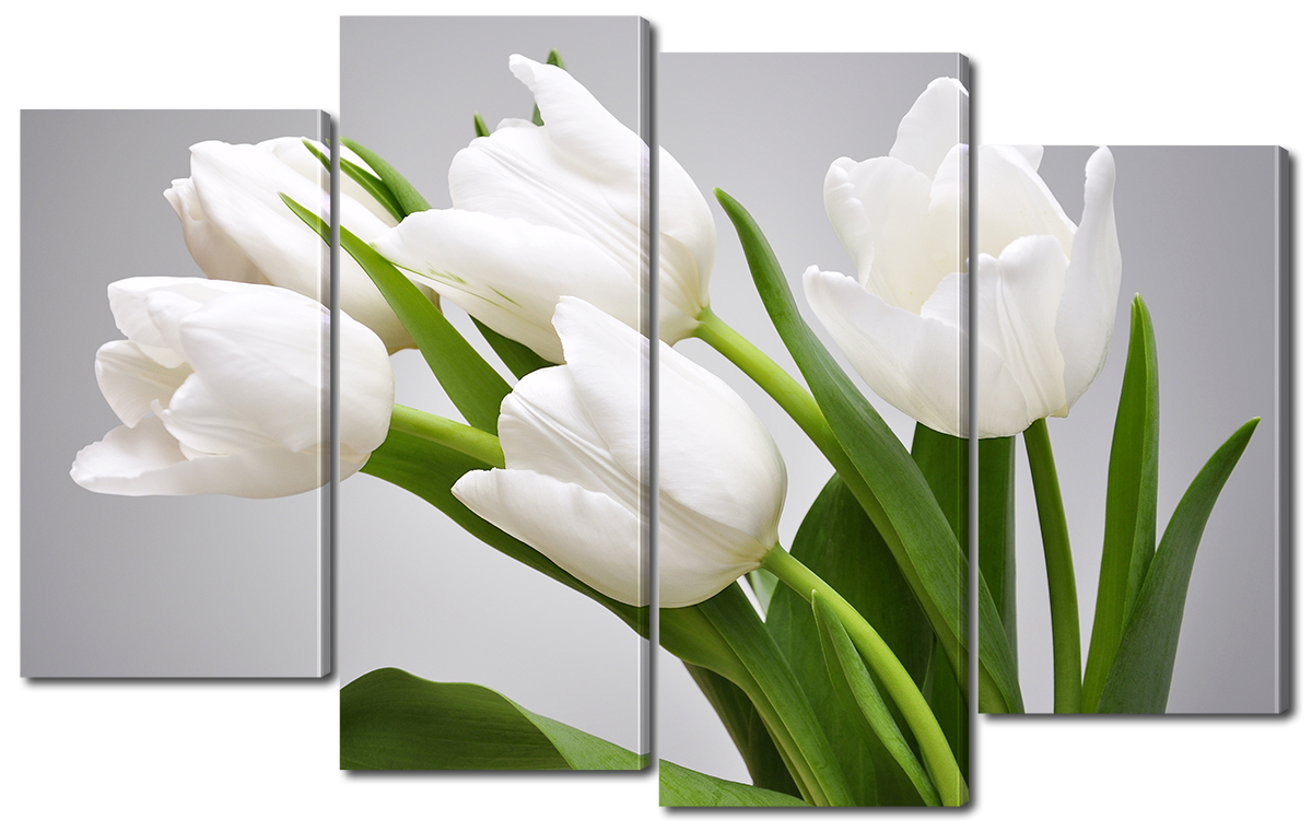 Модульная картина Interno Эко кожа Белые цветы на сером 140x89см 
Модульная картина Interno Эко кожа Белые цветы на сером 140x89см