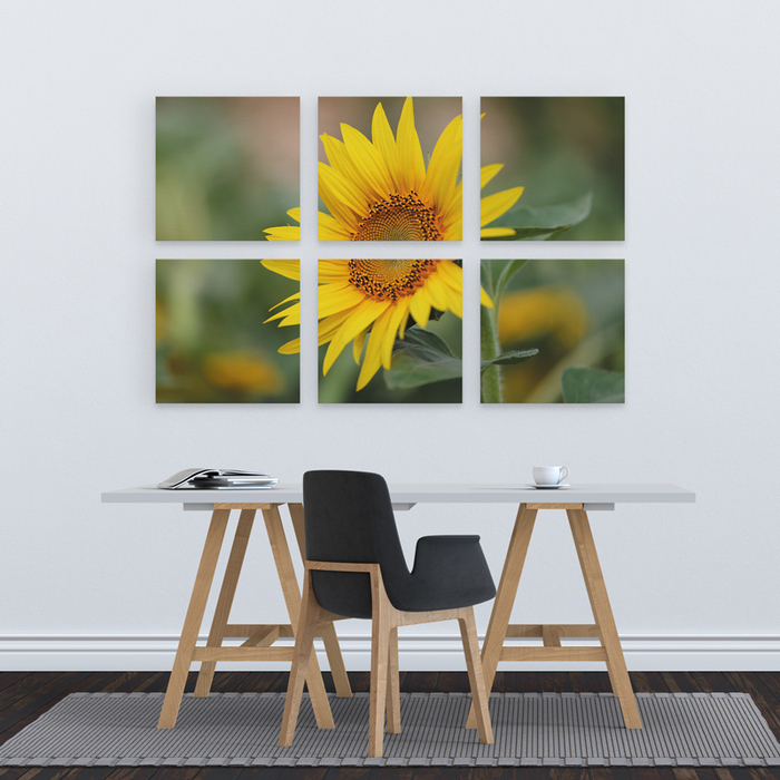 Модульная картина GUS "Цветы, Подсолнухи #40" 130x85 см (XD045 - Модульные картины)
Модульная картина GUS "Цветы, Подсолнухи #40" 130x85 см (XD045 - Модульные картины)