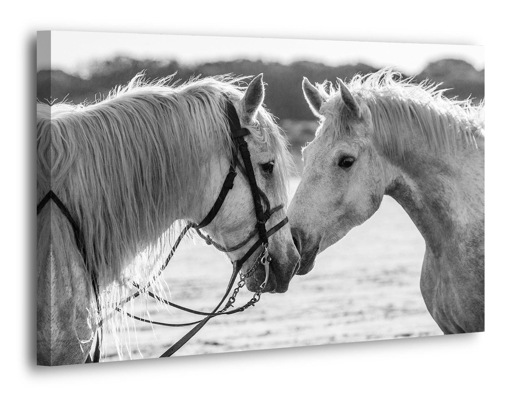 Картина на холсте YS-Art 120х80см
Картина на холсте YS-Art 120х80см