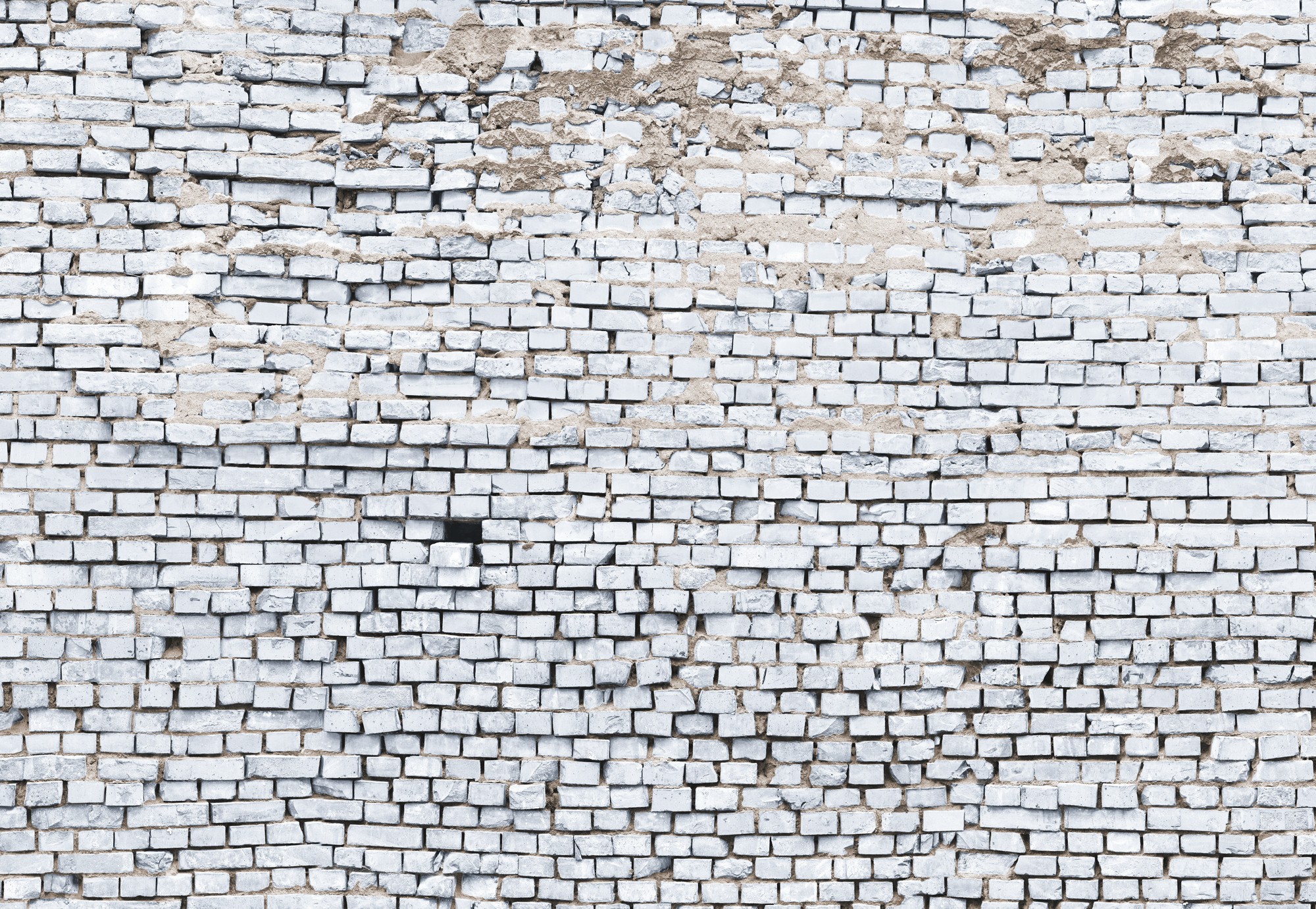 Фотообои бумажные Komar White Brick (Белый кирпич) 368х254 см 8 сегментов (8-881)
Фотообои бумажные Komar White Brick (Белый кирпич) 368х254 см 8 сегментов (8-881)