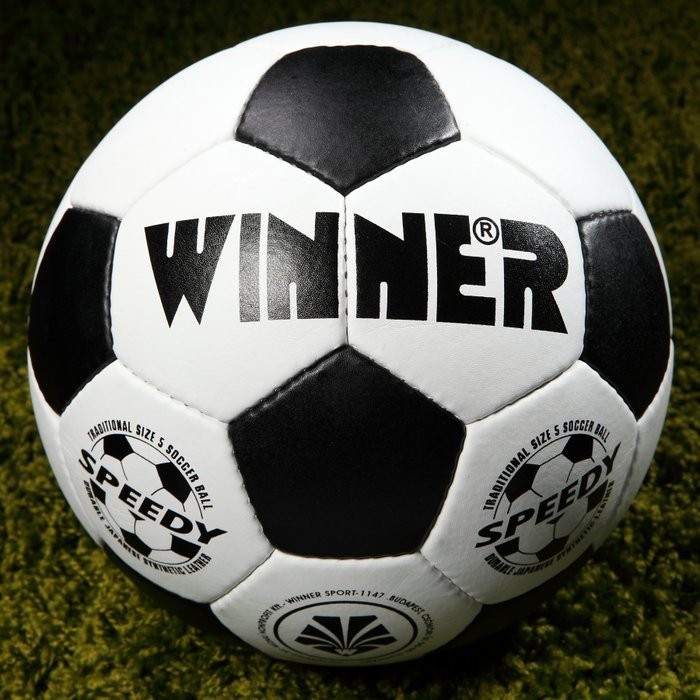 Мяч футбольный тренировочный Winner SPEEDY № 5 (6180156)
Мяч футбольный тренировочный Winner SPEEDY № 5 (6180156)