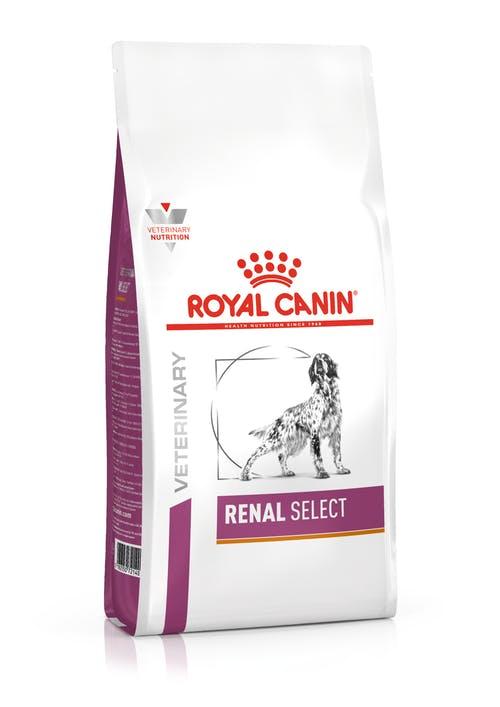Ветеринарный сухой корм для собак Royal Canin Renal Select Canine 10 кг (41621009)
Ветеринарный сухой корм для собак Royal Canin Renal Select Canine 10 кг (41621009)