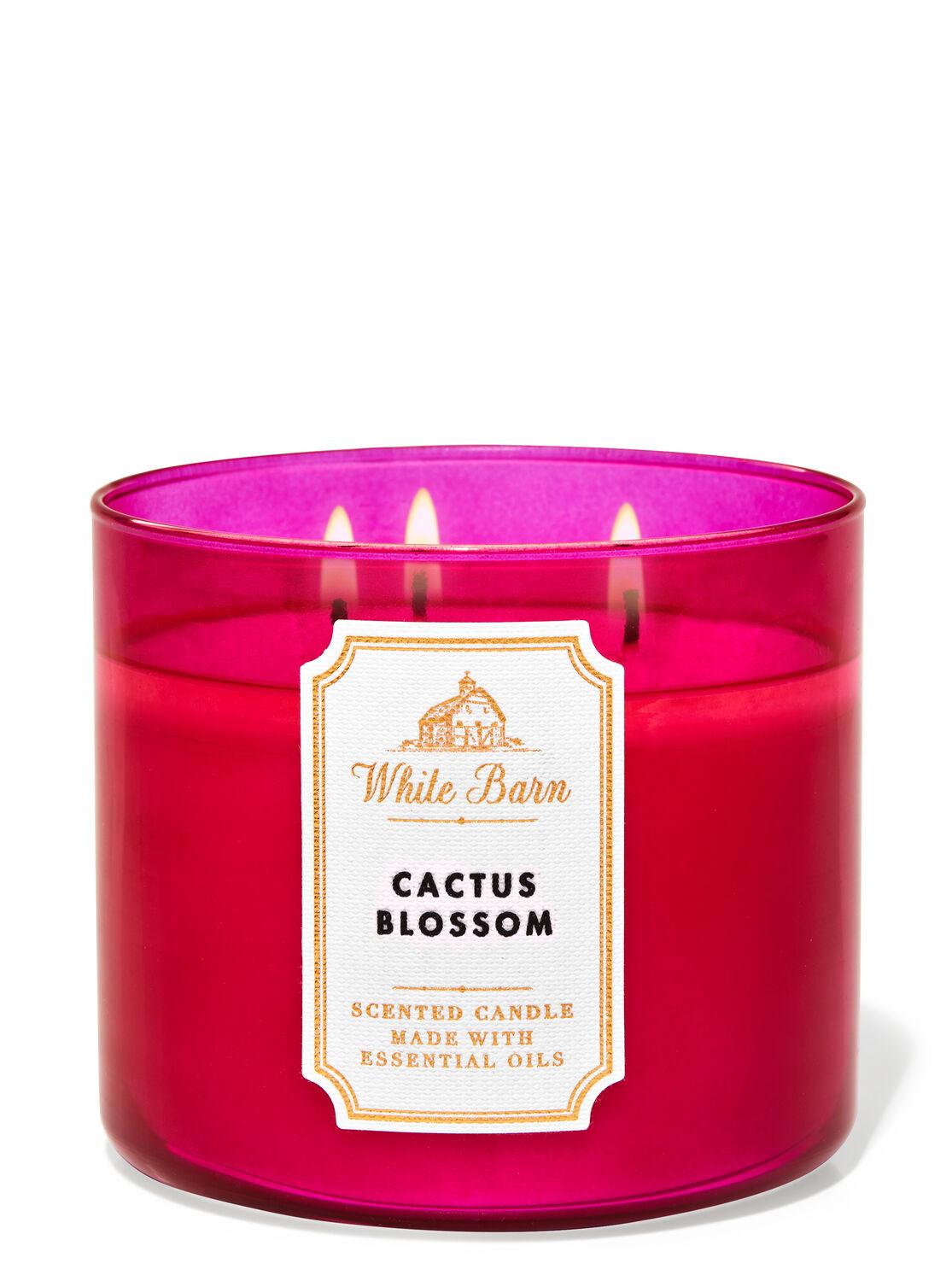 Свеча ароматизированная CACTUS BLOSSOM Bath & Body Works BBW0081W 411 г Темно-розовый
Свеча ароматизированная CACTUS BLOSSOM Bath & Body Works BBW0081W 411 г Темно-розовый