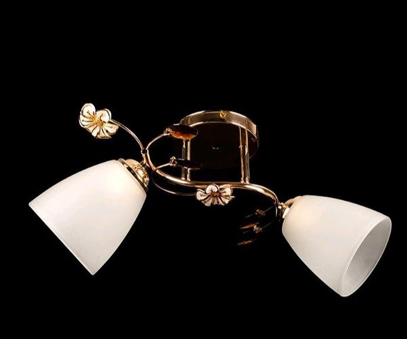 Люстра класична Свет на два плафона золотиста SZ-807/2 FGD 
Люстра класична Свет на два плафона золотиста SZ-807/2 FGD