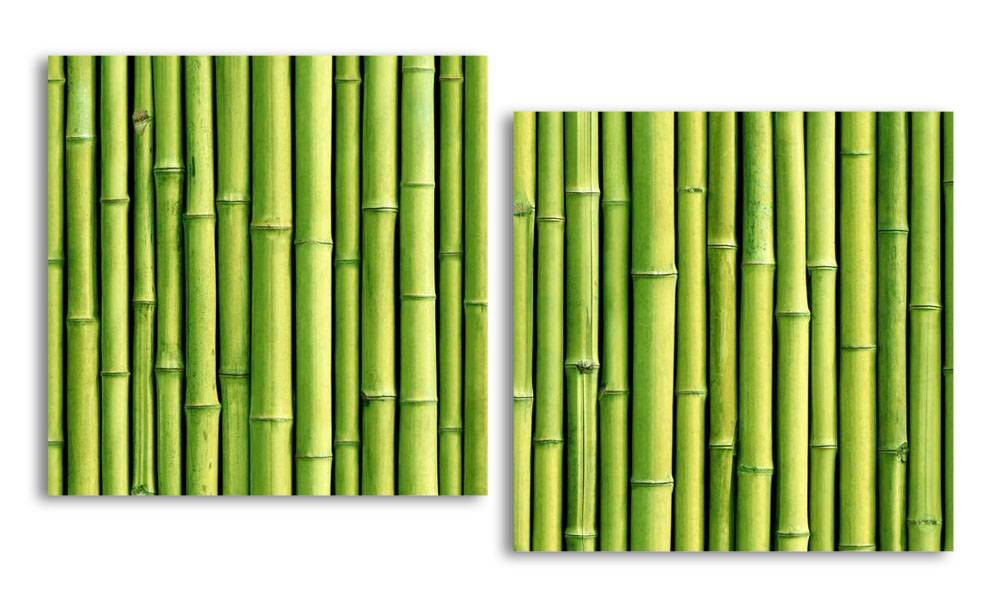 Модульная картина LaPrint Бамбук 200х109 см
Модульная картина LaPrint Бамбук 200х109 см