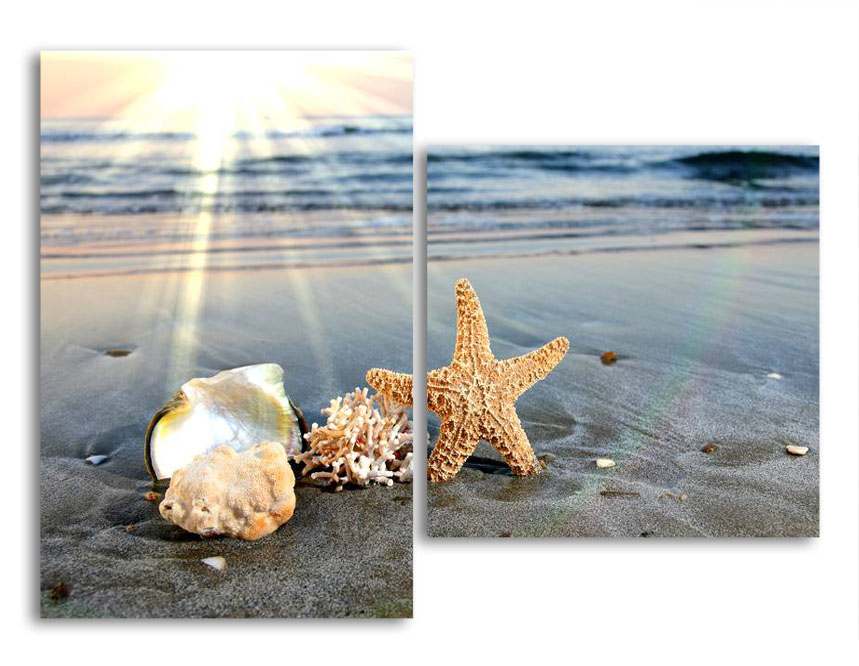 Модульная картина LaPrint Ракушки 200х145 см
Модульная картина LaPrint Ракушки 200х145 см
