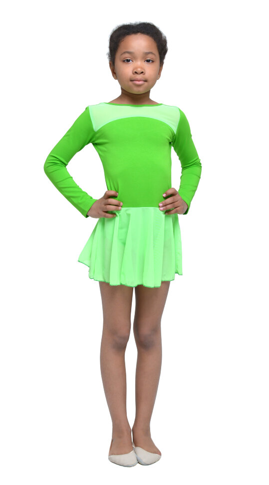 Купальник для гимнастики и танцев Little Dancer DR-2088-GR салатовый рост 30 (рост 110-116 см)
Купальник для гимнастики и танцев Little Dancer DR-2088-GR салатовый рост 30 (рост 110-116 см)