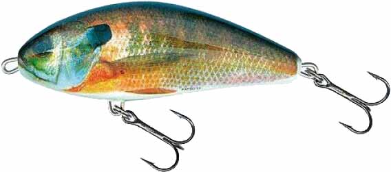 F10S RS Воблер SALMO FATSO (34012)
F10S RS Воблер SALMO FATSO (34012)