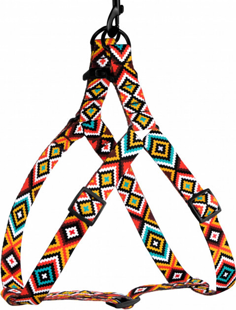Шлея для собак BronzeDog Tribal Нейлоновая Гуцульская M Оранжевая (71/1375/Т) (2800000002251)
Шлея для собак BronzeDog Tribal Нейлоновая Гуцульская M Оранжевая (71/1375/Т) (2800000002251)