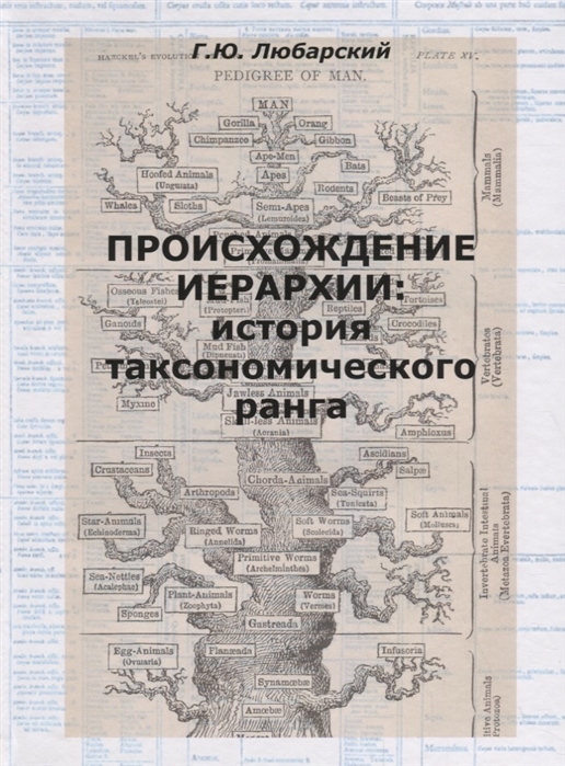 Происхождение иерархии. История таксономического ранга
Происхождение иерархии. История таксономического ранга