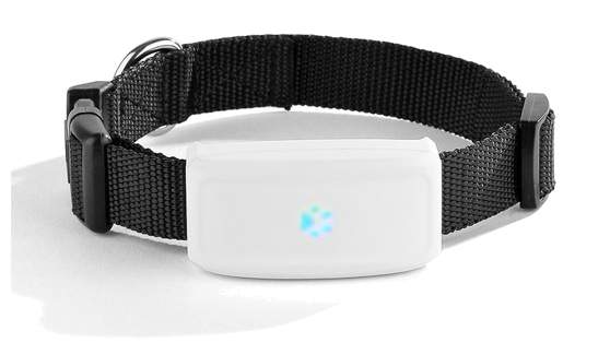 Электронный ошейник GPS Tracker Трекер для Собак ТКSTAR Модель: ТК-911, Вес 33гр., Защита IP66
Электронный ошейник GPS Tracker Трекер для Собак ТКSTAR Модель: ТК-911, Вес 33гр., Защита IP66