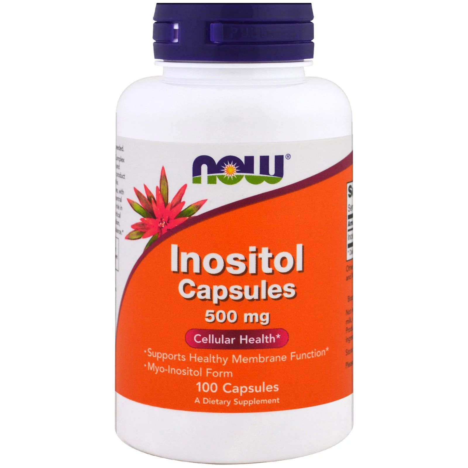 Биологически Активные Добавки Now Foods Inositol Инозитол в капсулах 500 мг 100 капсул (NOW-00475)
Биологически Активные Добавки Now Foods Inositol Инозитол в капсулах 500 мг 100 капсул (NOW-00475)