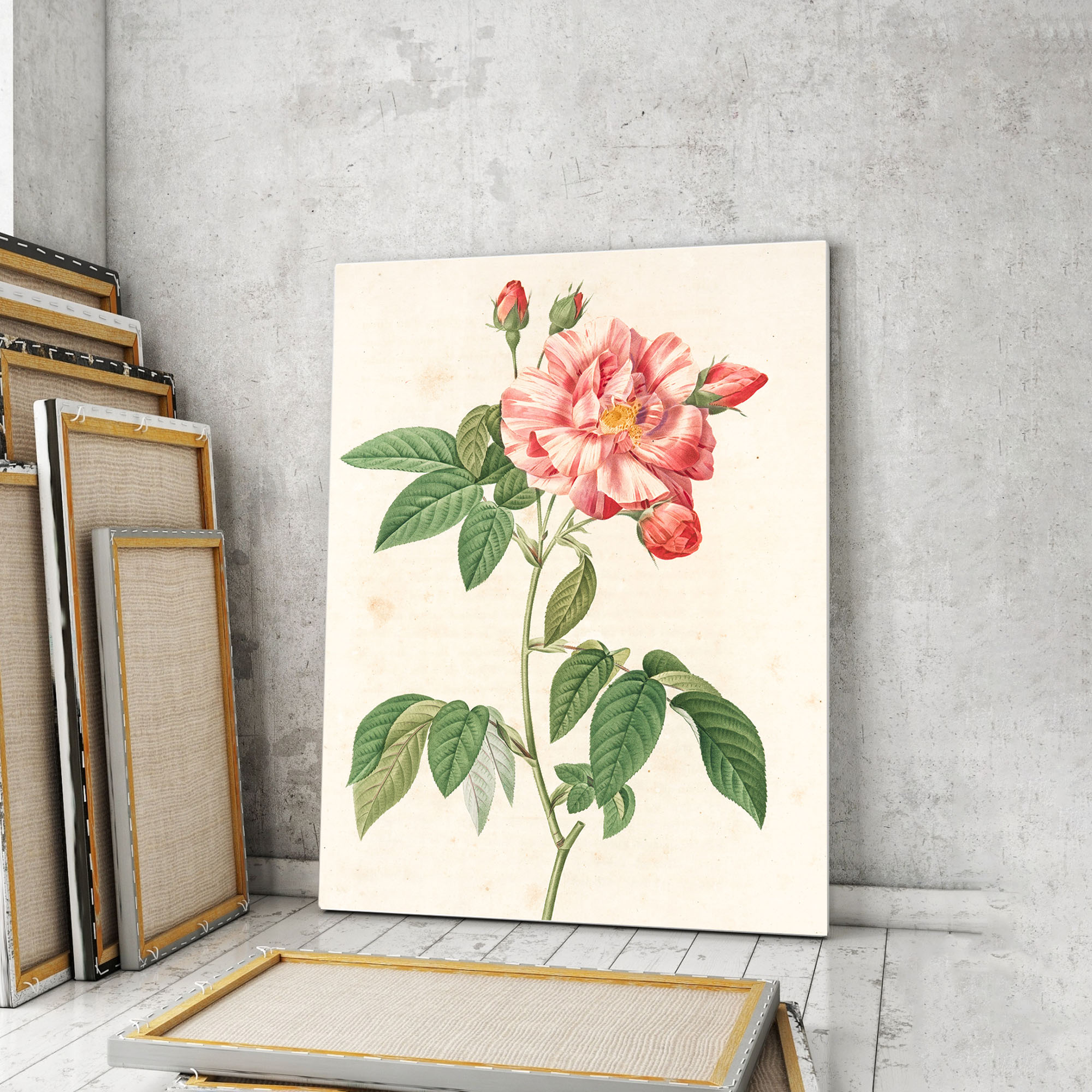 Модульная картина Artel «Винтажная акварельная роза галлика разноцветная» 90x60 см
Модульная картина Artel «Винтажная акварельная роза галлика разноцветная» 90x60 см