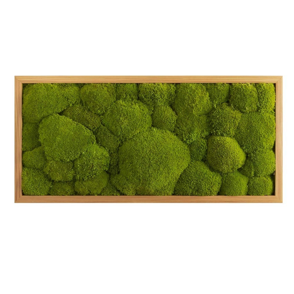 Картина SmartBotanica из стабилизированного кочкового мха 57*27 см в деревянной рамке цвет охра
Картина SmartBotanica из стабилизированного кочкового мха 57*27 см в деревянной рамке цвет охра