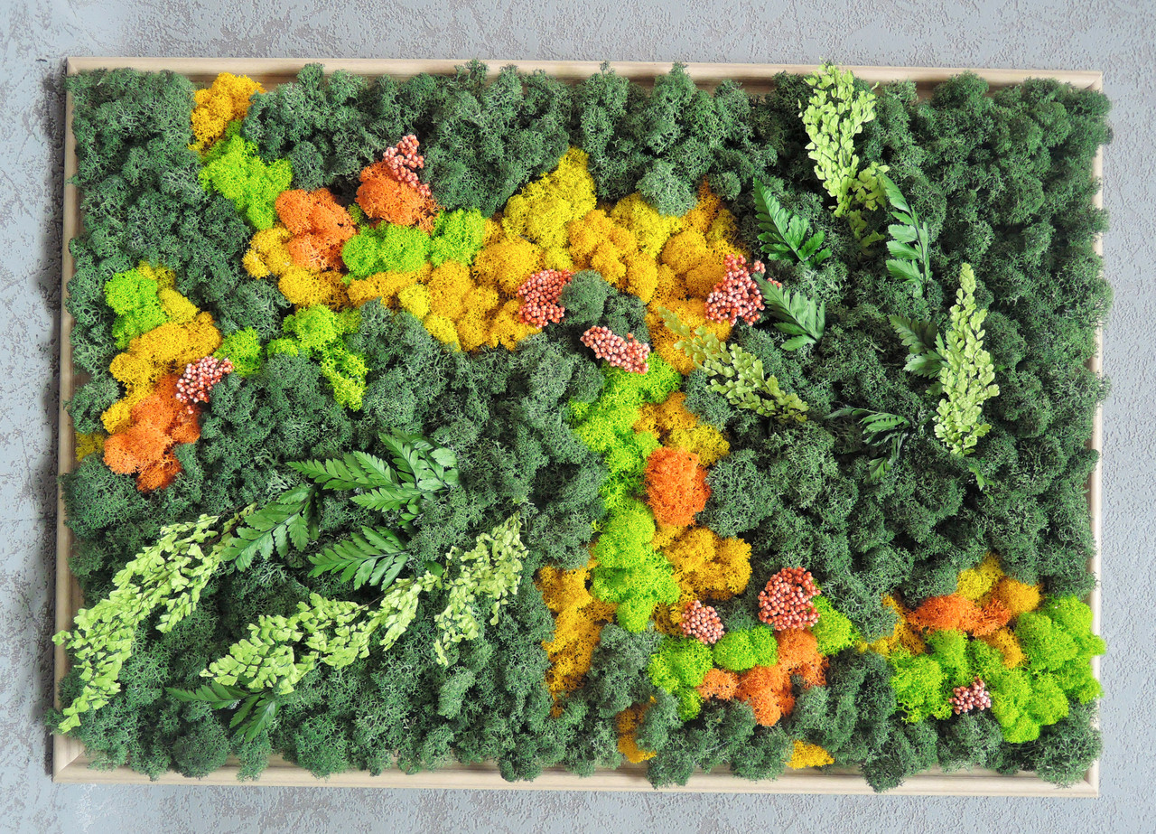 Картина Artis Green из стабилизированного мха и растений "Orange&Green Big" P22
Картина Artis Green из стабилизированного мха и растений "Orange&Green Big" P22