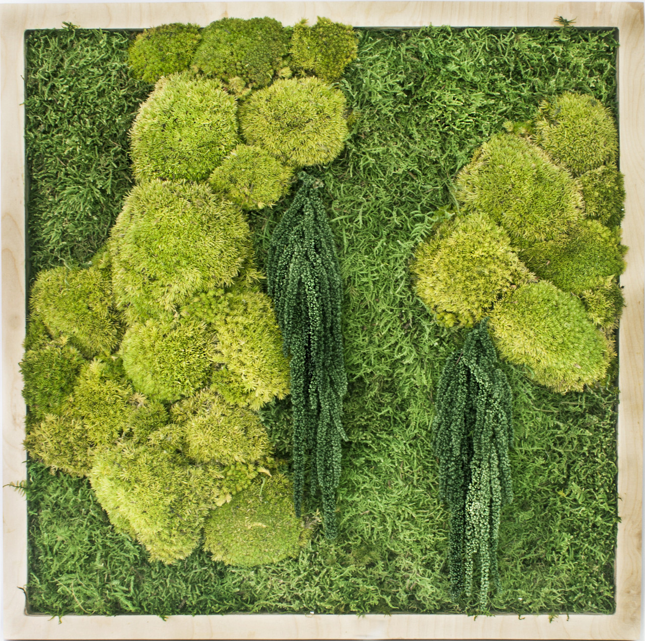 Картина Artis Green "Частичка леса" из стабилизированного мха и растений 50*50 см P16
Картина Artis Green "Частичка леса" из стабилизированного мха и растений 50*50 см P16