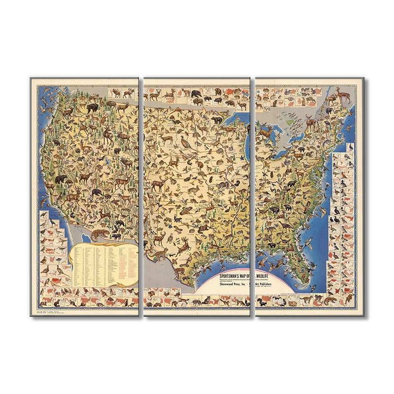 Винтажная карта Artel «Карта США, где живут животные» 3 модуля 120x180 см
Винтажная карта Artel «Карта США, где живут животные» 3 модуля 120x180 см