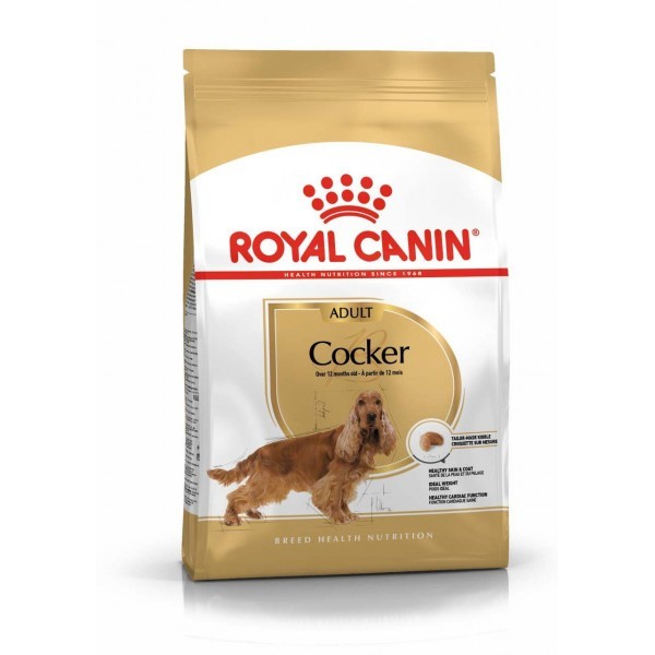 Сухой корм для взрослых собак породы кокер-спаниель от 12 месяцев Royal Canin cocker Adult 3 кг 3969030
Сухой корм для взрослых собак породы кокер-спаниель от 12 месяцев Royal Canin cocker Adult 3 кг 3969030