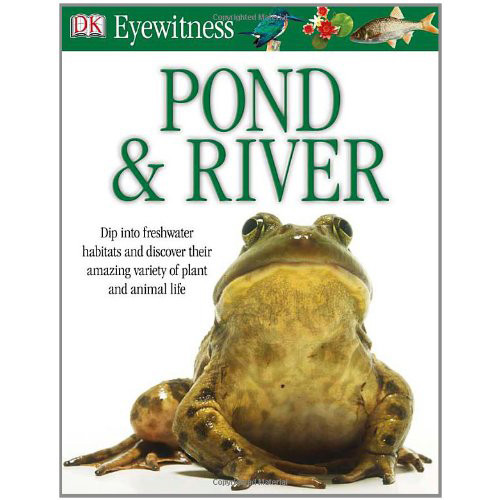 Pond & River 
Pond & River