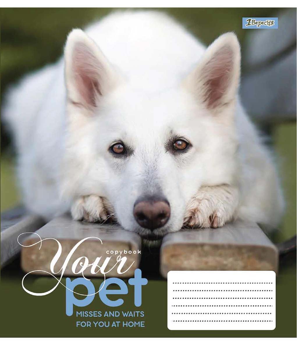 Набор тетрадей ученических 1 Вересня Dog loyality А5 18 листов в линейку 25 шт (765431)
Набор тетрадей ученических 1 Вересня Dog loyality А5 18 листов в линейку 25 шт (765431)